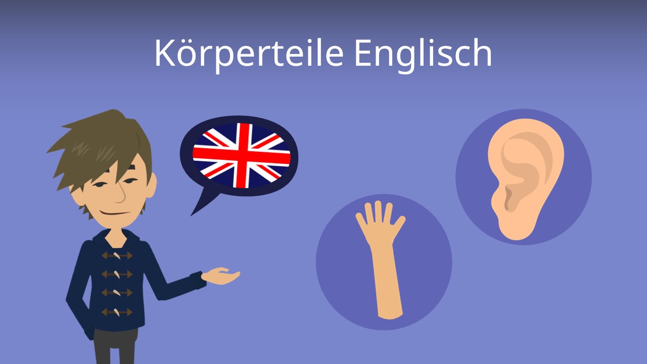 Körperteile Englisch • Liste der wichtigsten Wörter · [mit Video]