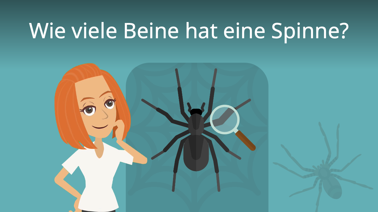 Wie viele Beine hat eine Spinne? · [mit Video]