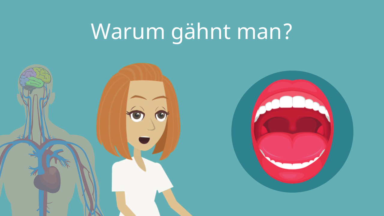 Warum Muss Man Gähnen Wenn Jemand Anderes Gähnt studyflix.de