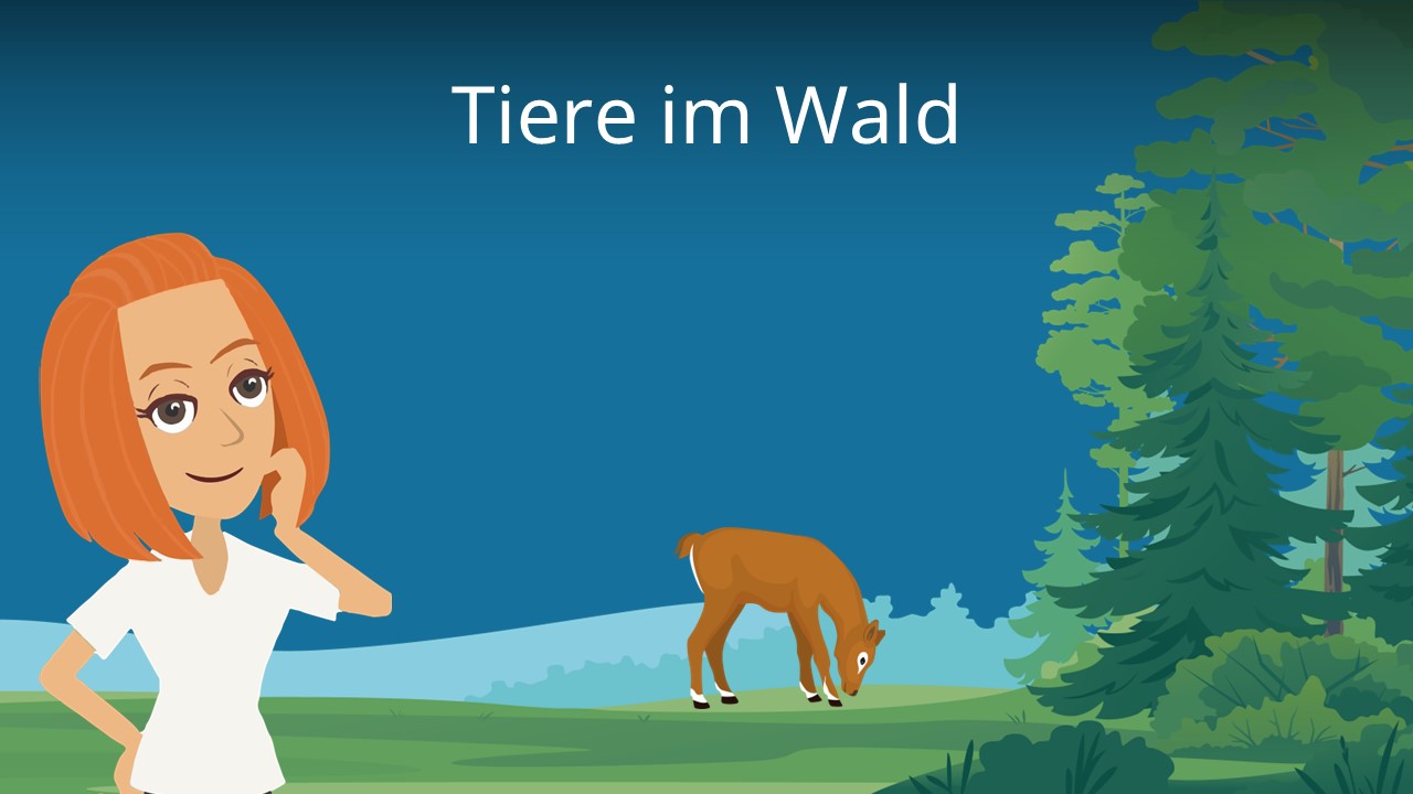 7627048121959193697alletiere In Unserem Wald Der Waschbc3a4r Ist Keine Bedrohunghtml