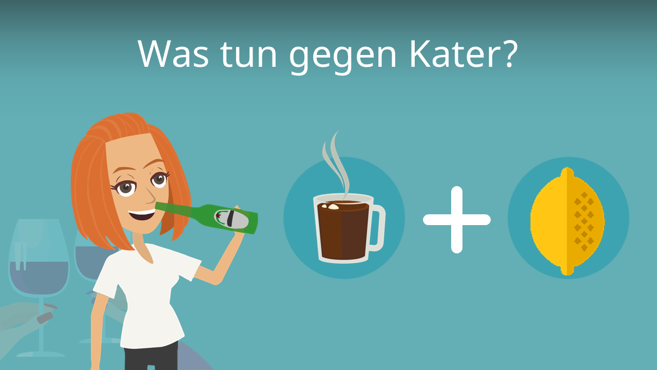 Was Kann Man Gegen Einen Kater Tun studyflix.de
