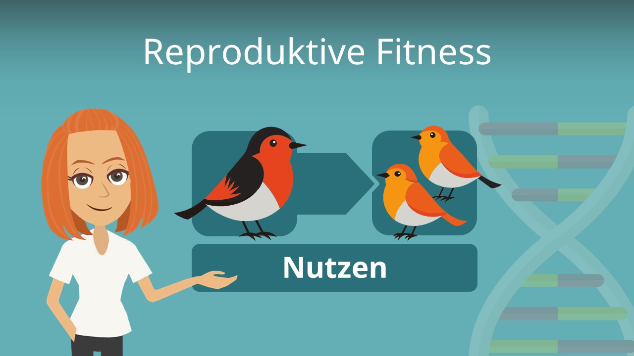 Reproduktive Fitness • einfach erklärt · [mit Video]