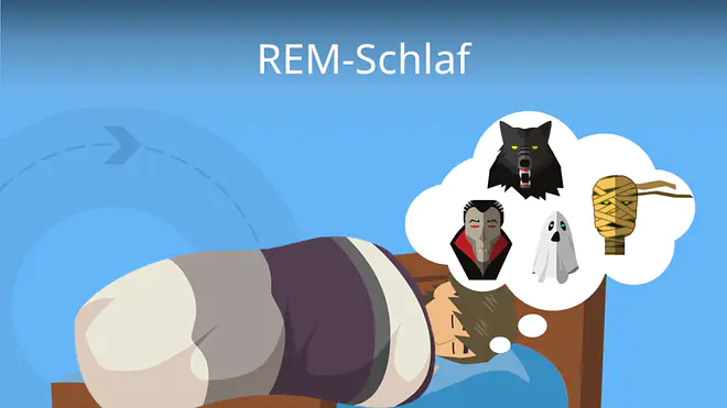 Zum Video: REM-Schlaf