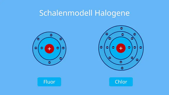 schalenmodell, atomhülle, schalenmodell chemie, elektronenschalen, atomschalen, schalenmodell kalium, schalenmodell kohlenstoff, wie viele elektronen passen in die schalen, atom schalenmodell, elektronenhülle, natrium schalenmodell, das schalenmodell, k schale, m-schale, wie viele elektronen passen auf die schalen, schalenmodell bohr, chemie schalenmodell, schalenmodell natrium, schalen chemie, schalen modell, elektronen schalen, bohrsches atommodell schalen, kohlenstoff schalenmodell, bohr schalenmodell, periodensystem schalen