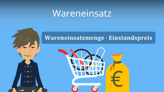 Zum Video: Wareneinsatz