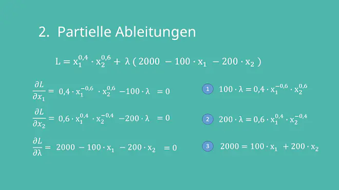 Lagrange-Prinzip, Lagrange-Ansatz, Lagrange Funktion ableiten