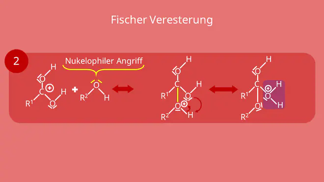Fischer Veresterung - zweiter Schritt