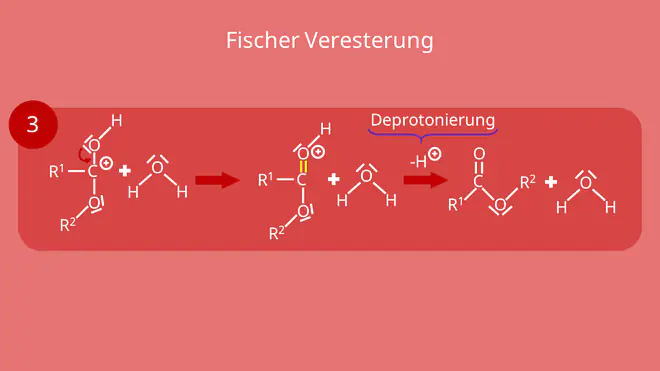 Fischer Veresterung - dritter Schritt