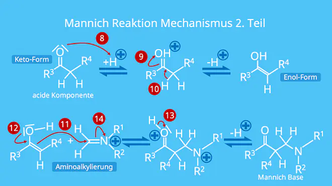 Mannich Reaktion, Mechanismus, Reaktion, Mannich Reaktion