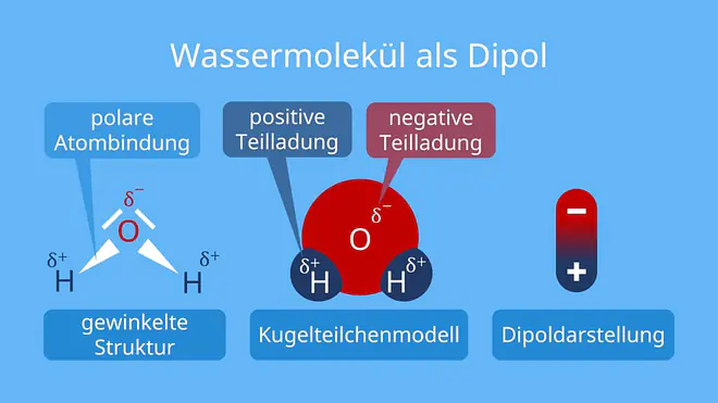 Wasser Strukturformel, wasser formel, aus was besteht Wasser, dipolmolekül, was ist ein dipol, lewis formel von Wasser, wasser als dipol, wie ist das Wassermolekül aufgebaut, wie sieht ein wassermolekül aus, das wassermolekül, warum ist das Wassermolekül gewinkelt, wassermolekül aufbau, summenformel wasser, valenzstrichformel wasser, Dipolcharakter Wasser, dipoleigenschaften