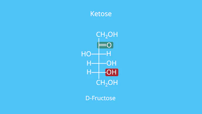 Ketose, Ketogruppe, D-Fructose, Fructose, OH-Gruppe, Fischer-Projektion
