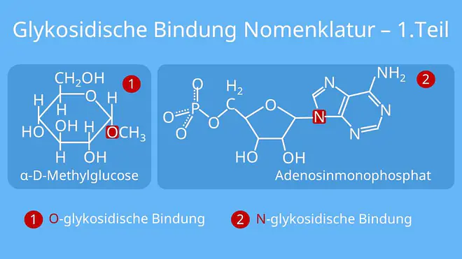 Glykosidische Bindung Nomenklatur, Benennung, Namensbildung