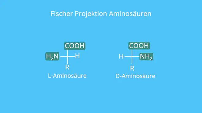 Aminosäure, Fischer Projektion, L-Aminosäure, D-Aminosäure, Aminogruppen, funktionelle Gruppe