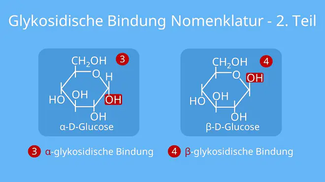 Glykosidische Bindung Nomenklatur, Benennung, Namensbildung