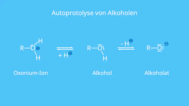 Autoprotolyse, Alkohol, Eigendissoziation, Protolyse, Alkoholat, Alkohole, Alkohol