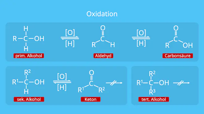  Oxidation von Alkoholen, primär, sekundär, tertiärer Alkohol