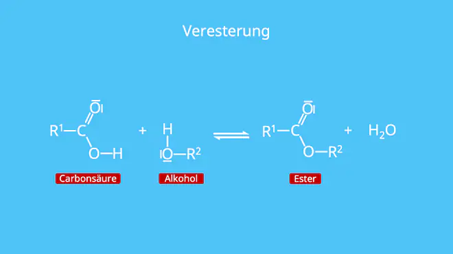 Veresterung, Carbonsäure, Alkohol, Ester