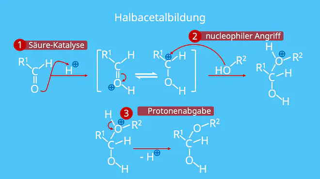 Halbacetalbildung, Acetal, Halbacetal 3 Schritt Mechanismus