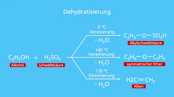 Dehydratisierung, Alkohole, Alkohol
