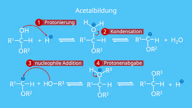 Acetalbildung, Acetal, 4 Schritt Mechanismus