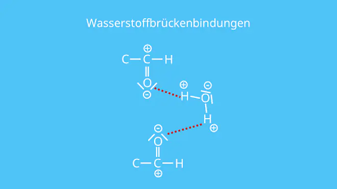 Wasserstoffbrücken, Wasser, Aldehyd, löslich