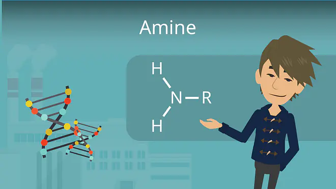 Zum Video: Amine