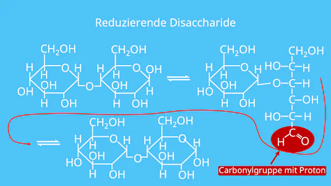 reduzierende Disaccharide