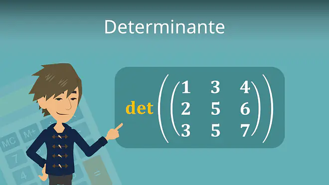 Zum Video: Determinante