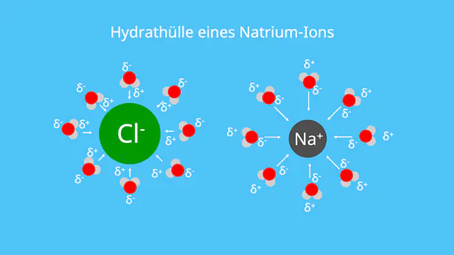 Hydration, Ionenradius, Hydratisiert, Hydratisieren, Hydratisierte Ionen