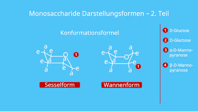 Monosaccharide Darstellung, Darstellungsformen, Fischer Projektion, Haworth Darstellung, Konformationsformel