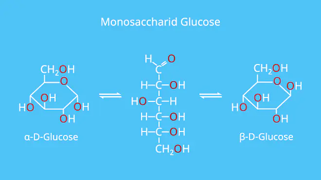 Monosaccharid, Monosaccharide, Glucose, Beispiel, Beispiele