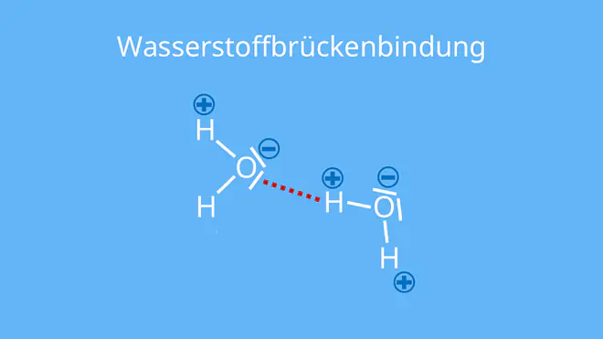 Wasserstoffbrückenbindung, Wasserstoffbrücke, H-Brücke, zwischenmolekulare Kräfte, intermolekulare Kräfte