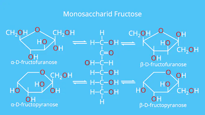 Monosaccharid, Monosaccharide, Fructose, Beispiel, Beispiele
