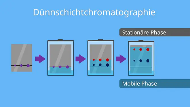 Laufmittel, mobile Phase, stationäre Phase, Lösungsmittel, Dünnschichtchromatografie