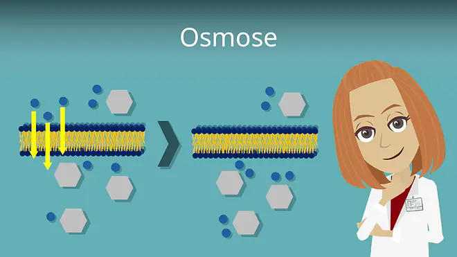 Zum Video: Osmose