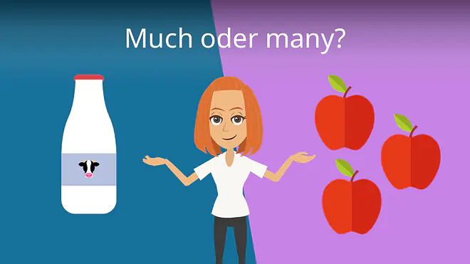 Zum Video: much oder many?