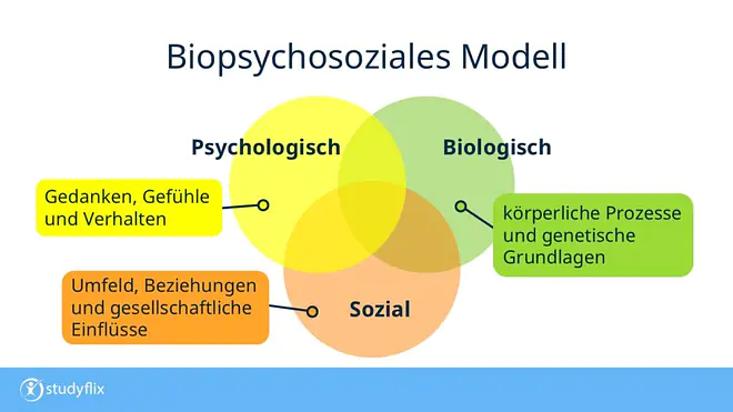 Die Grafik zeigt die drei Einflussfaktoren des biopsychosozialen Modells nach George L. Engel. Neben biologischen Faktoren, die körperliche Prozesse und genetische Grundlagen betrachten, sind auch psychologische und soziale Faktoren für Gesundheit und Krankheit ausschlaggebend. Sie beinhalten Gedanken, Gefühle und das Verhalten sowie das soziale Umfeld, Beziehungen und gesellschaftliche Einflüsse.