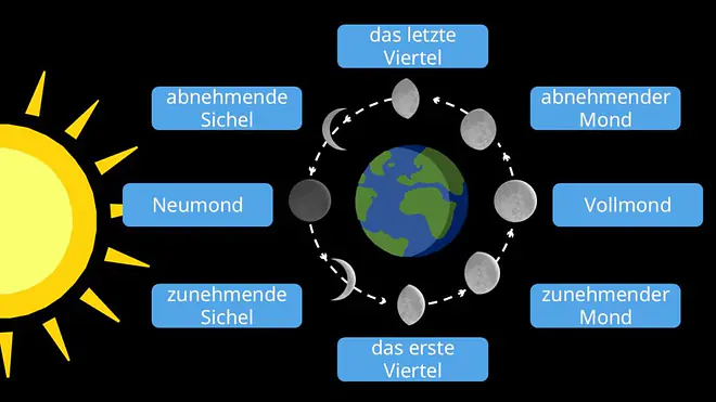 in der Mitte die Erde, die vom Mond gegen den Uhrzeigersinn umkreist wird, während von links das gelbe Sonnenlicht einstrahlt. Auf der kreisförmigen Umlaufbahn sind die Mondphasen eingezeichnet: Links (9 Uhr) steht der dunkle Neumond, danach die zunehmende Sichel (7 Uhr), unten das Erste Viertel (6 Uhr), danach die zunehmender Mond (4 Uhr), rechts (3 Uhr) Vollmond, danach die abnehmender Mond (2 Uhr), oben das Letzte Viertel (0 Uhr) und danach die abnehmende Sichel (11 Uhr).