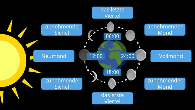 Das bild zeigt zu welcher Uhrzeit man welche Mondphase sehen kann. Von 12 Uhr mittags bis 24 Uhr Mitternacht kann man den zunehmenden Mond beobachten. Den abnehmenden Halbmond sieht man von 24 Uhr Mitternacht bis 12 Uhr mittags.