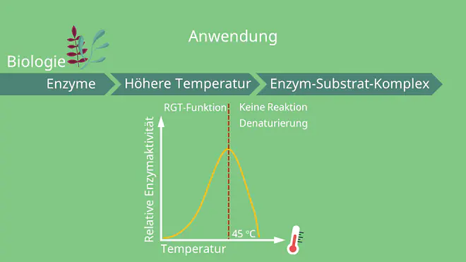 RGT Regel in der Biologie