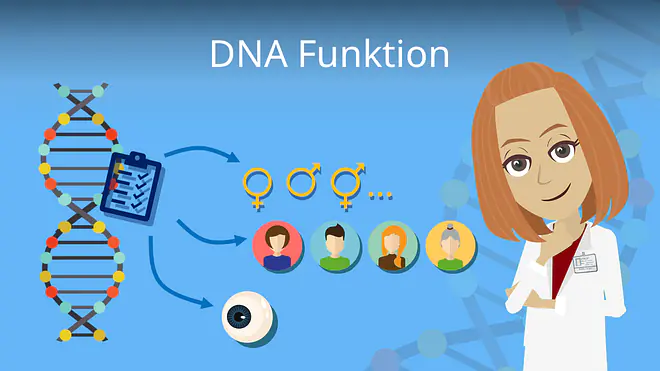 Zum Video: DNA Funktion