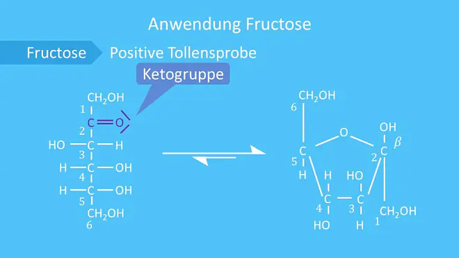 Fructose, Ringform, offenkettige Form, Ketogruppe. Halbacetal, Keto Enol Tautomerie