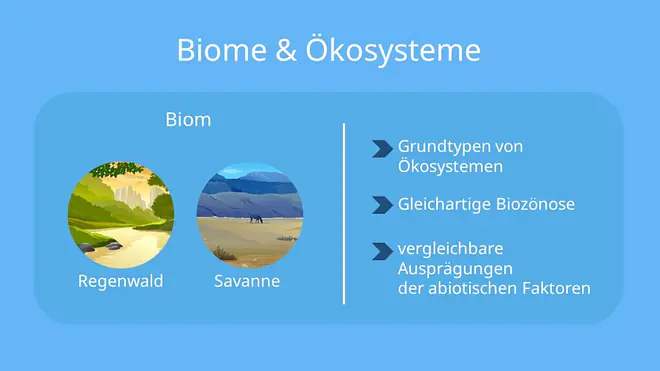 Biom, Ökosystem, Ähnliche Umweltbedingungen, Beispiel, abiotisiche Faktoren