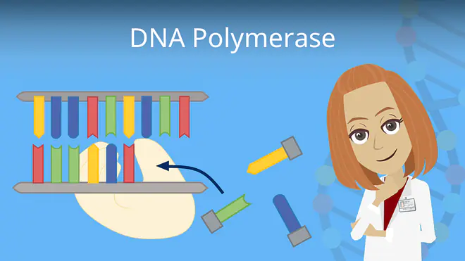 Zum Video: DNA Polymerase