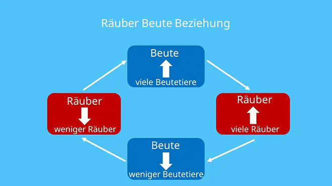 Räuber Beute Beziehung, Wechselwirkung, Populationsdichte, Populationsentwicklung, Vorhersage, Biologie, Ökologie