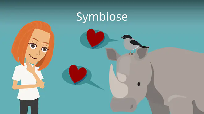 Zum Video: Symbiose
