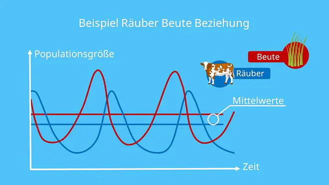 Räuber Beute Beziehung, Wechselwirkung, Populationsdichte, Populationsentwicklung, Vorhersage, Biologie, Ökologie