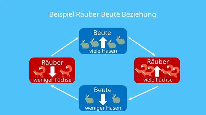 Räuber Beute Beziehung, Wechselwirkung, Populationsdichte, Populationsentwicklung, Vorhersage, Biologie, Ökologie