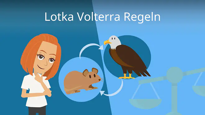 Zum Video: Lotka-Volterra-Regeln