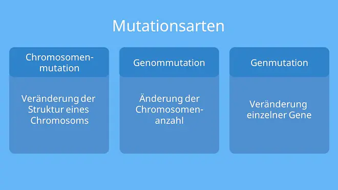 Chromosomenmutation, Genmutation, Genommutation, Chromosomenaberration, strutkturelle Chromosomenaberration, Mutationsarten, was ist eine Mutation, Mutationsformen, Mutationstypen, Arten von Mutationen, was sind Mutationen, Mutation einfach erklärt
